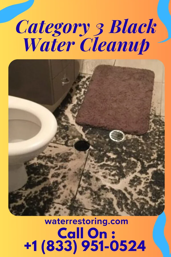 Category 3 Black Water Cleanup in Gonvick, MN