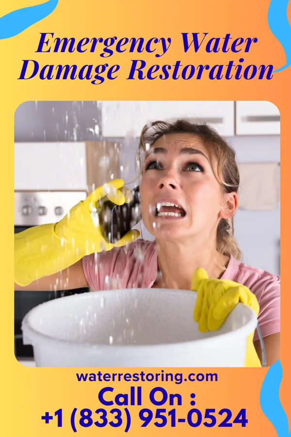Emergency Water Damage Restoration in Gonvick, MN