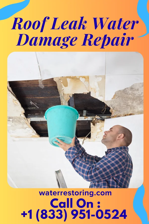 Roof Leak Water Damage Repair in Gonvick, MN