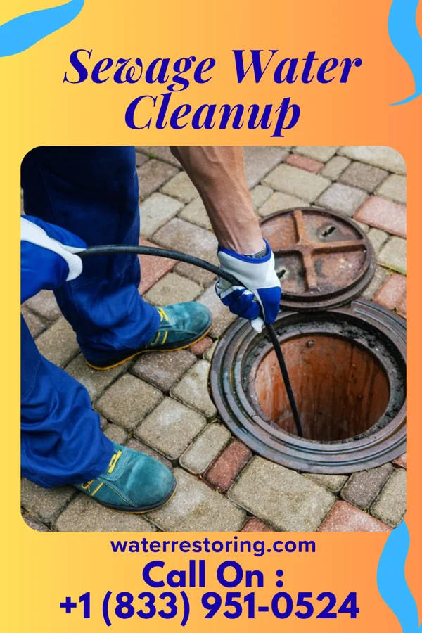 Sewage Water Cleanup in Gonvick, MN